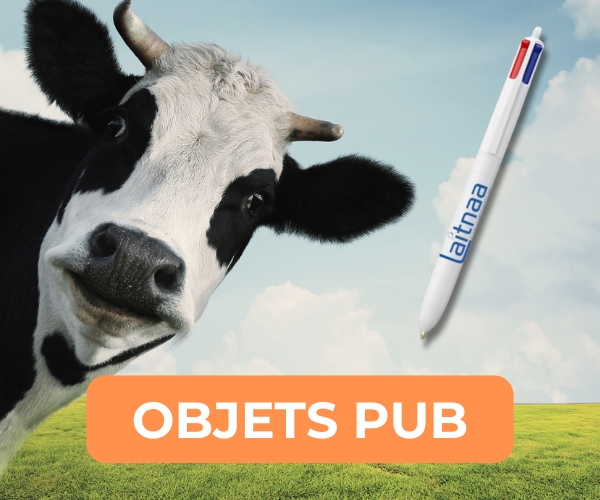 Objets pub imprimerie dedeystère